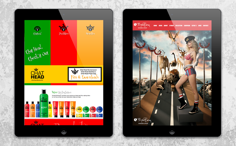 Interactie ontwerp webdesign Arloz, website voorbeeld Flash webdesign!
