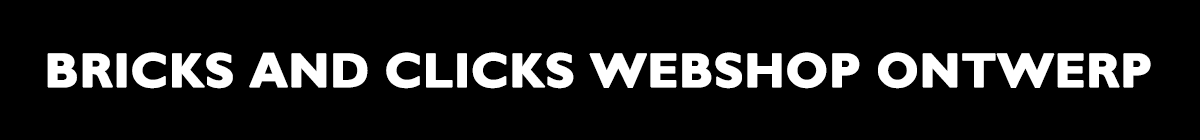 Bricks and Clicks webshop ontwerp